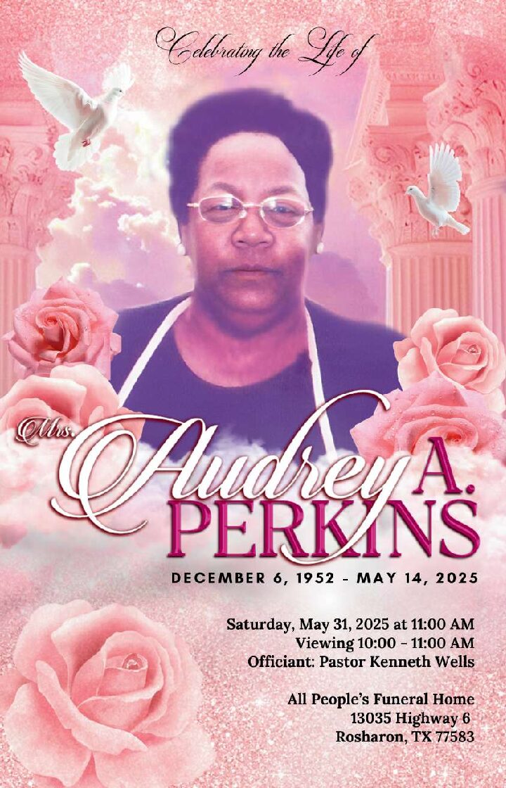 Audrey Ann Perkins 1952-2025
